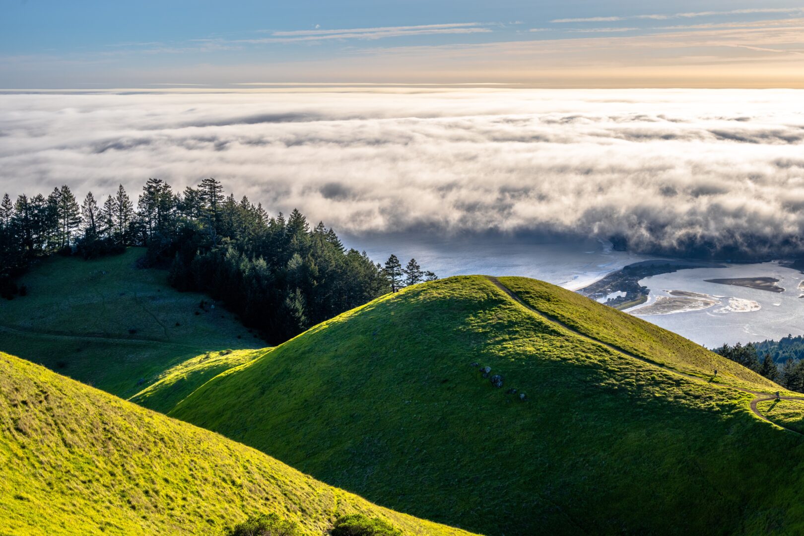 Scenic view of Mt. Tamalpais hills covered in lush green grass with a backdrop of coastal fog rolling over the ocean in Northern California.

