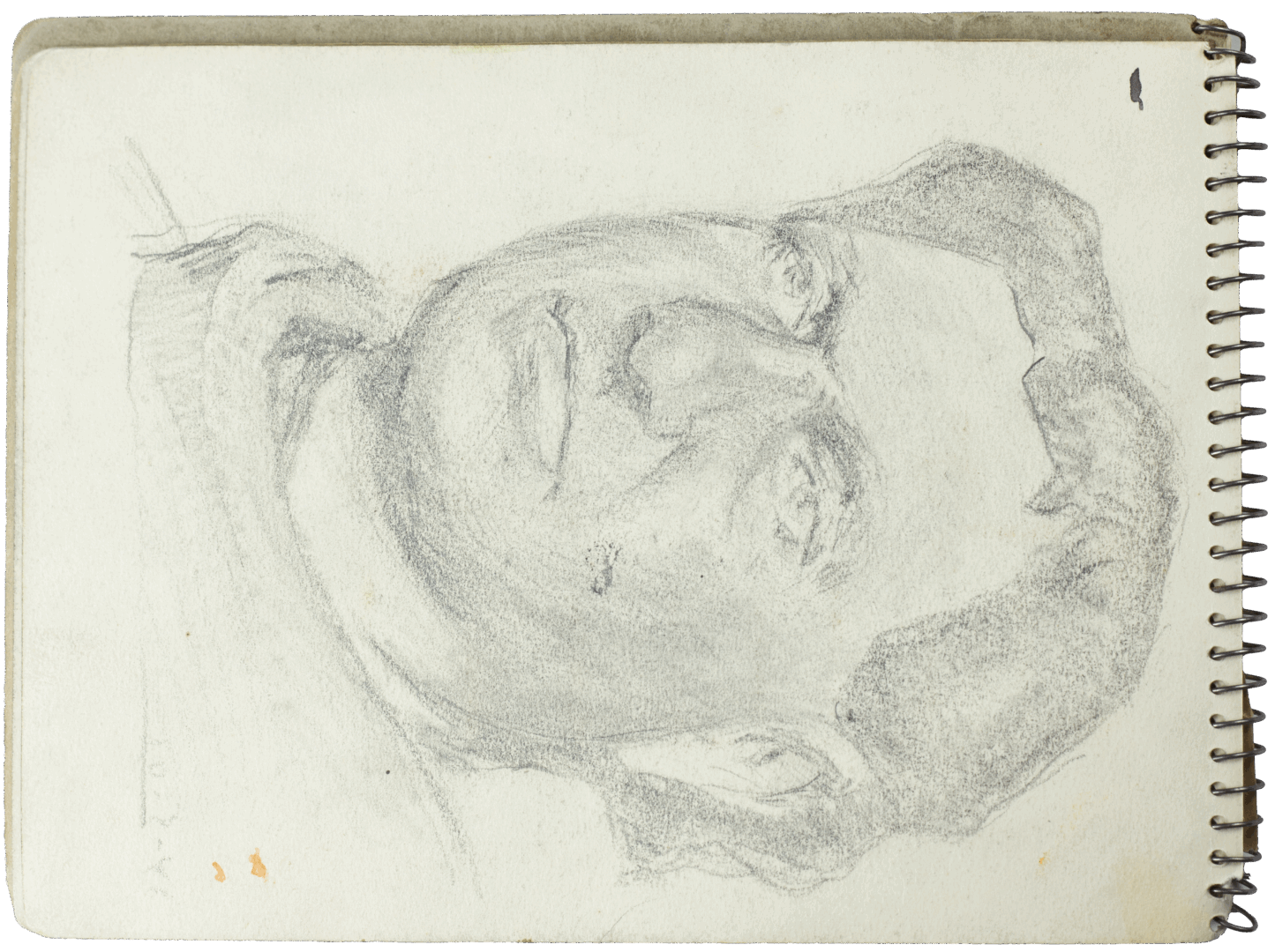 Pencil sketch of a man’s head in profile by Mariano Bertuchi, drawn in strong expressive lines.