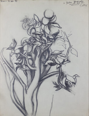 Framed charcoal drawing of flowers by Renato Guttuso, dated 1954 and inscribed to Julius Shusinsky.