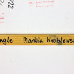 Handwritten signature and title “Jungle” by Mariola Wroblewski on back stretcher.