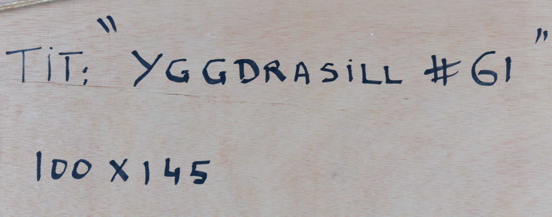 Verso inscription “YGGDRASILL #61” with dimensions