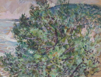 20th Century French School – Pine Tree by the Coast | Aurora & Athena Auction House 20th Century French School – Pine Tree by the Coast