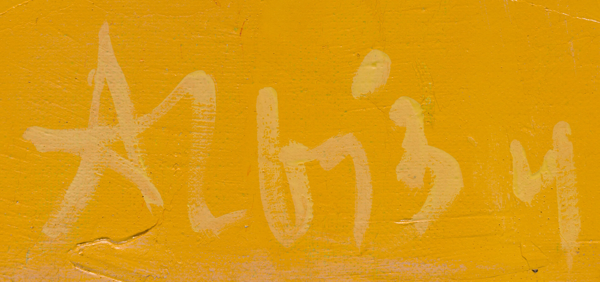 Olga Albizu signature detail lower right