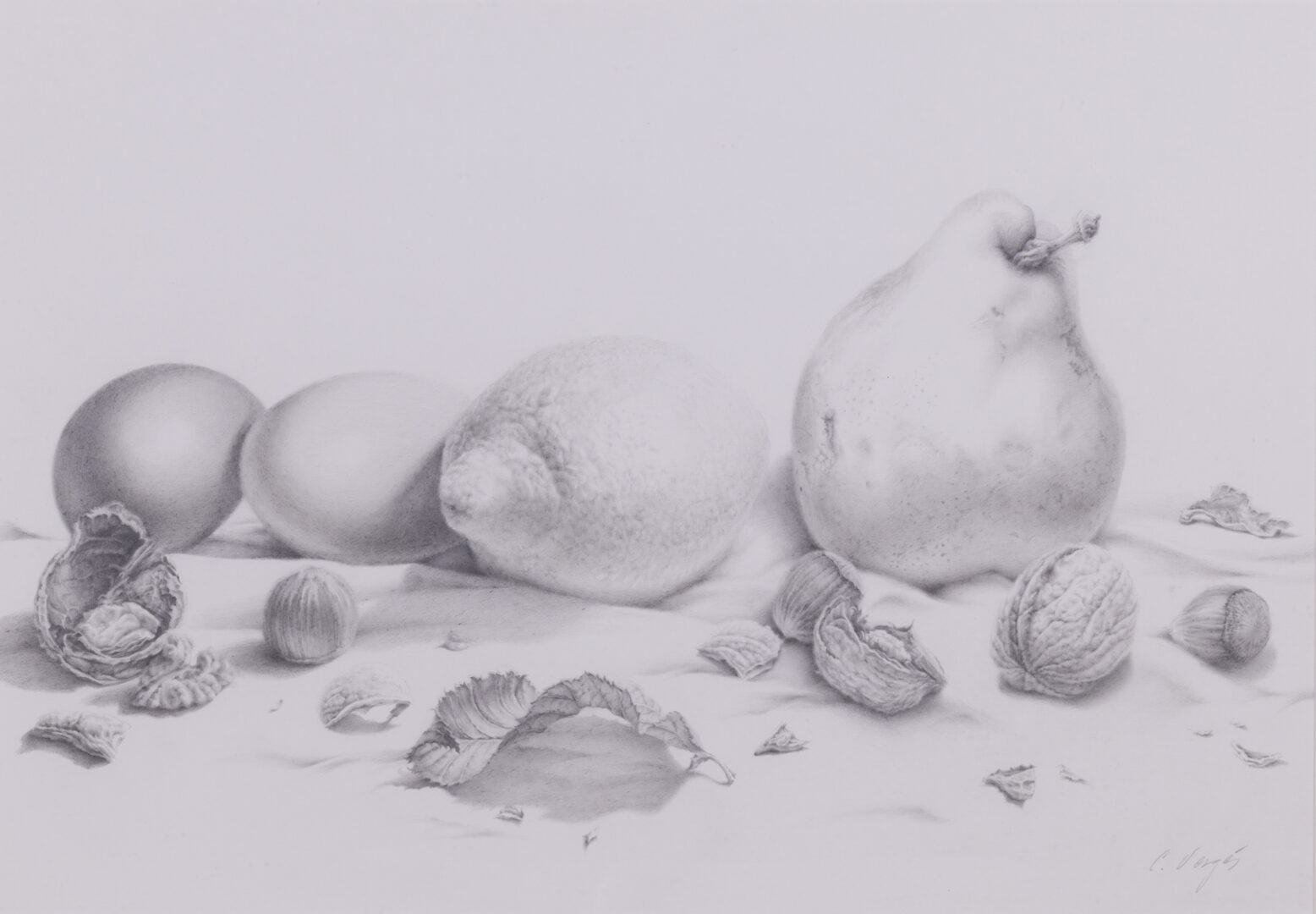 Carles Vergés graphite drawing still life with fruit