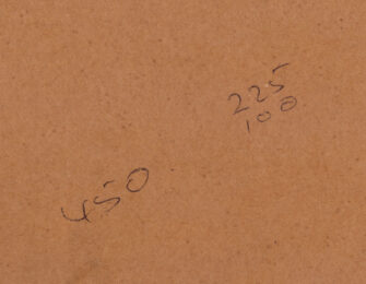 Thumbnail 6 of Hannah Swain — Gilding The Lily, 1998