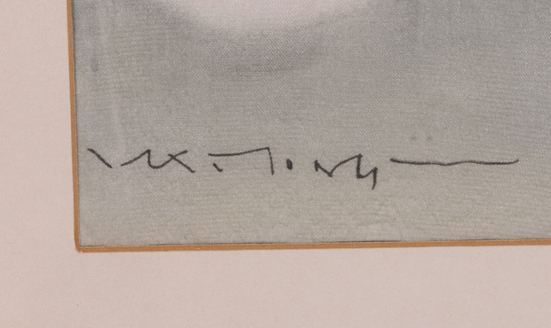 Detail of the artist's signature "Mai Long"