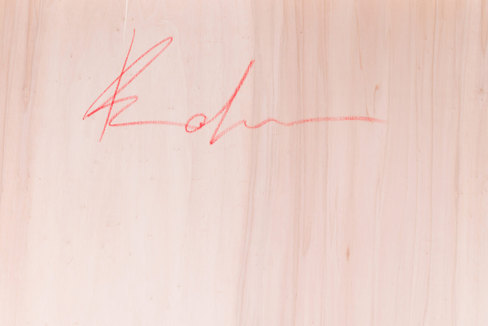 Detail of the artist's signature on the back