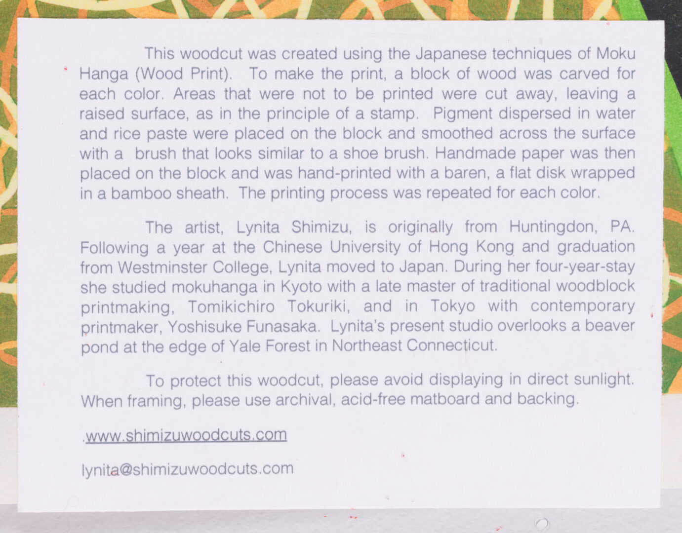 Artist's technical and biographical documentation